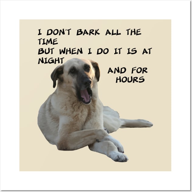 I Don't Bark All the Time Kangal With Cute Expression Wall Art by taiche